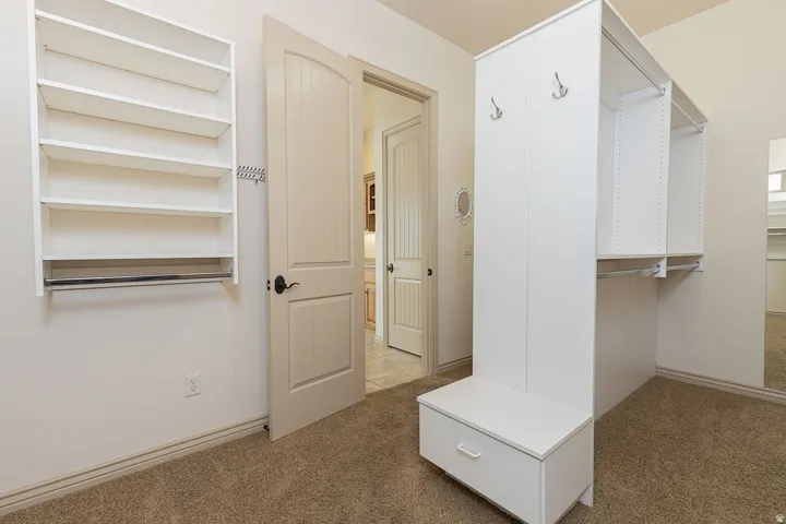 Walk in closet featuring light colored carpet
