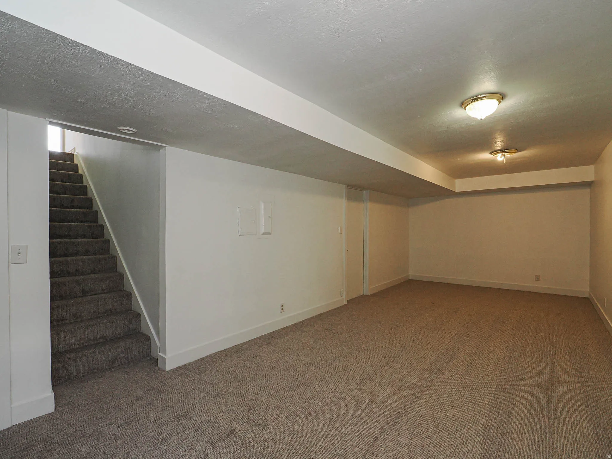 Finished basement featuring carpet and a textured ceiling