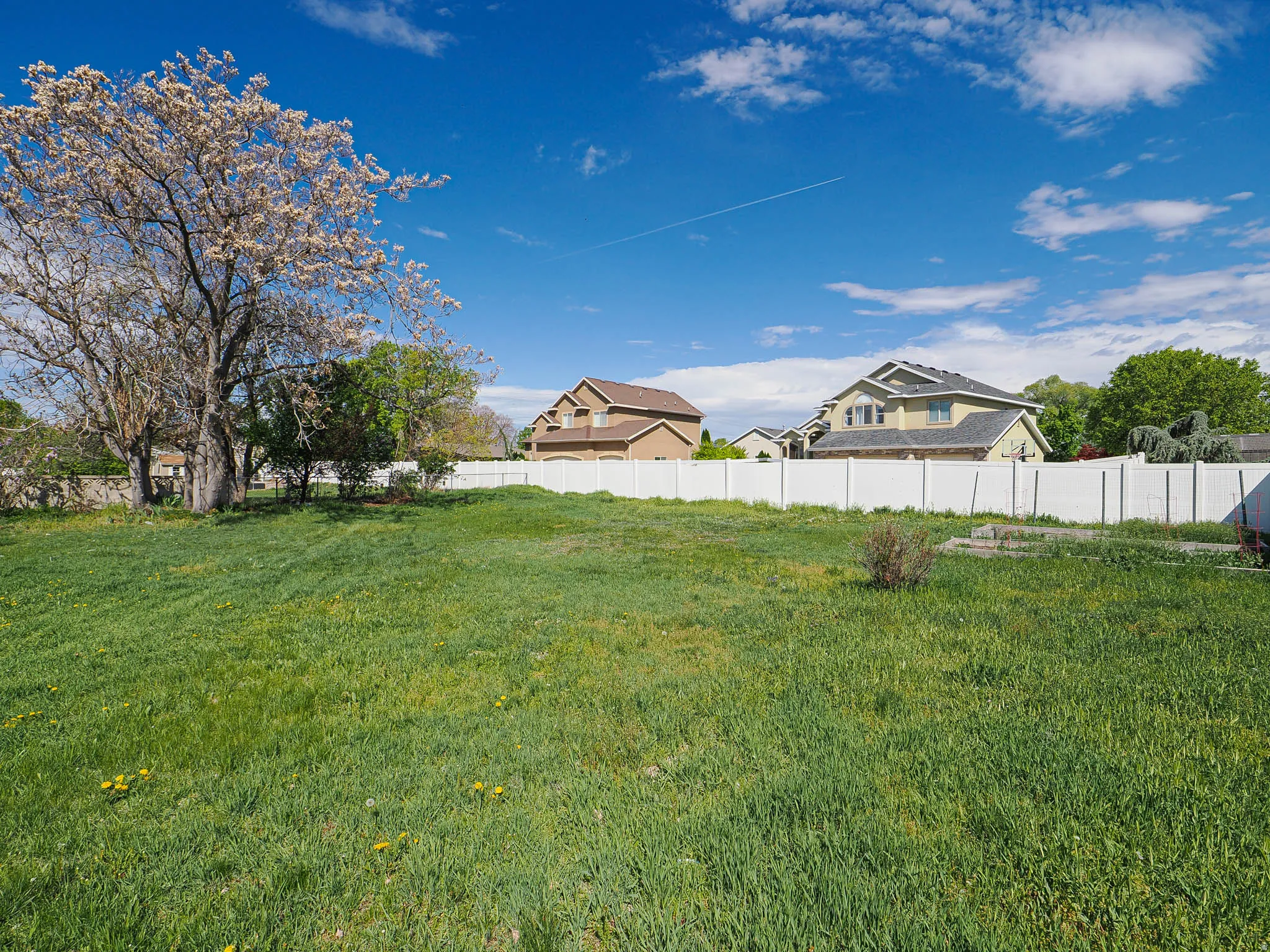 View of fenced backyard