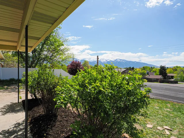 Mountain view