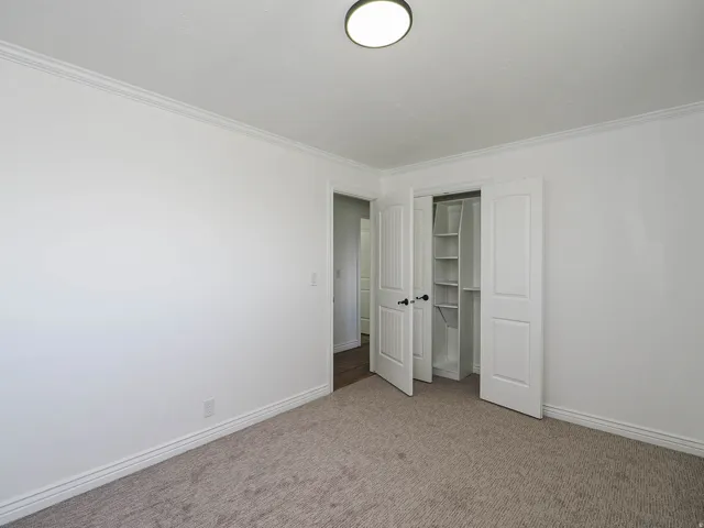 Unfurnished bedroom featuring carpet, a closet, and crown molding