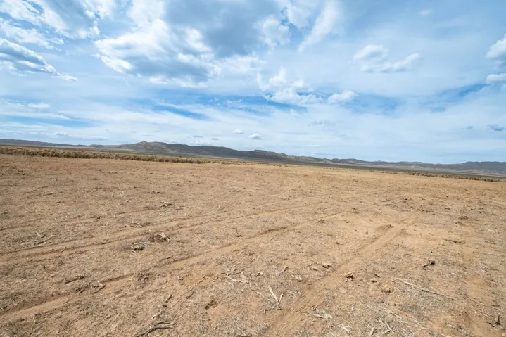 View of yard featuring a mountain view and a view of rural / pastoral area