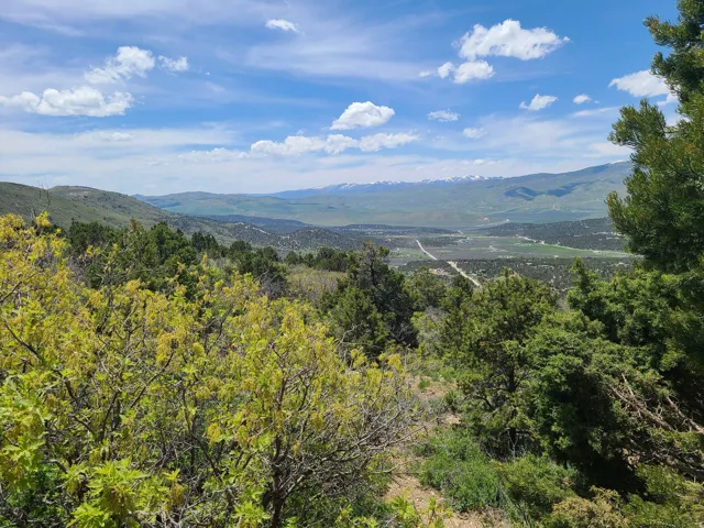 View of mountain background featuring a forest