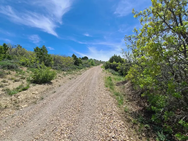 View of dirt / gravel road
