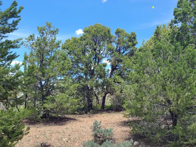 View of nature