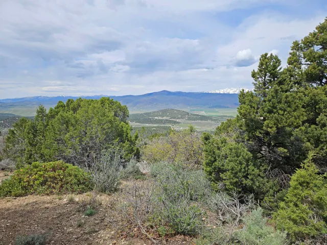 View of mountain background