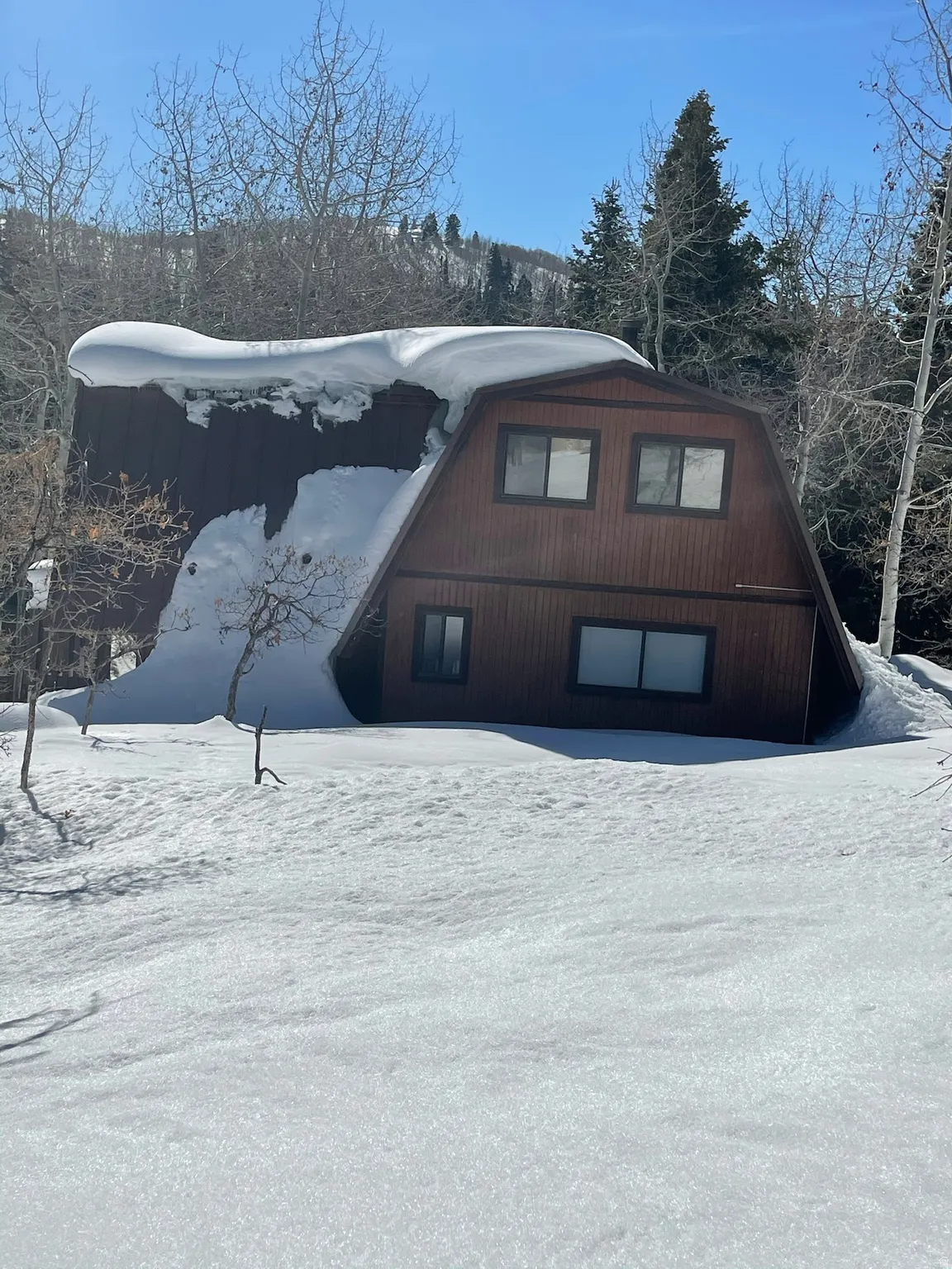 Snow covered property