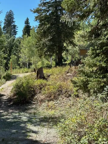 View of nature