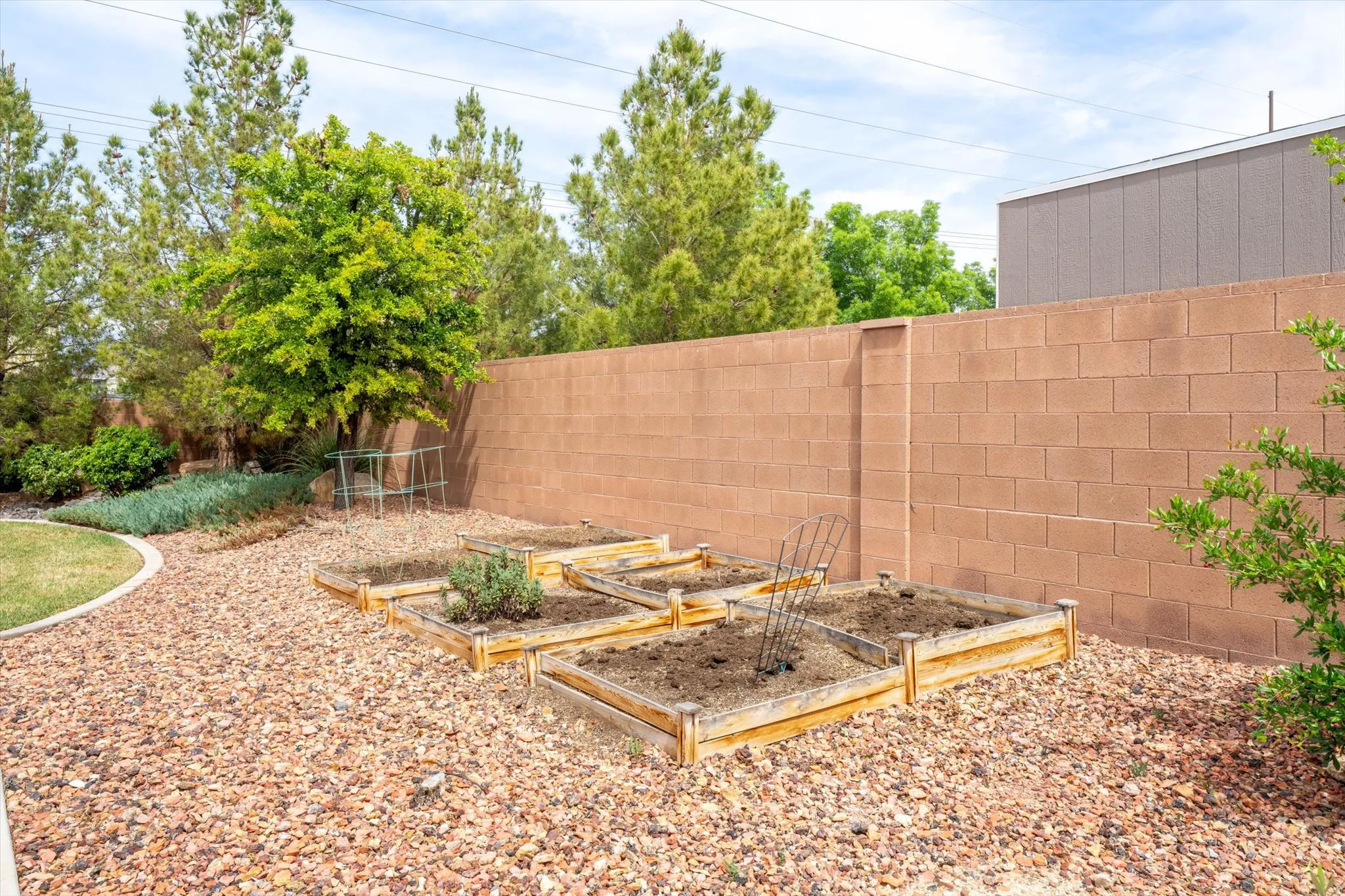 Fenced backyard with a vegetable garden