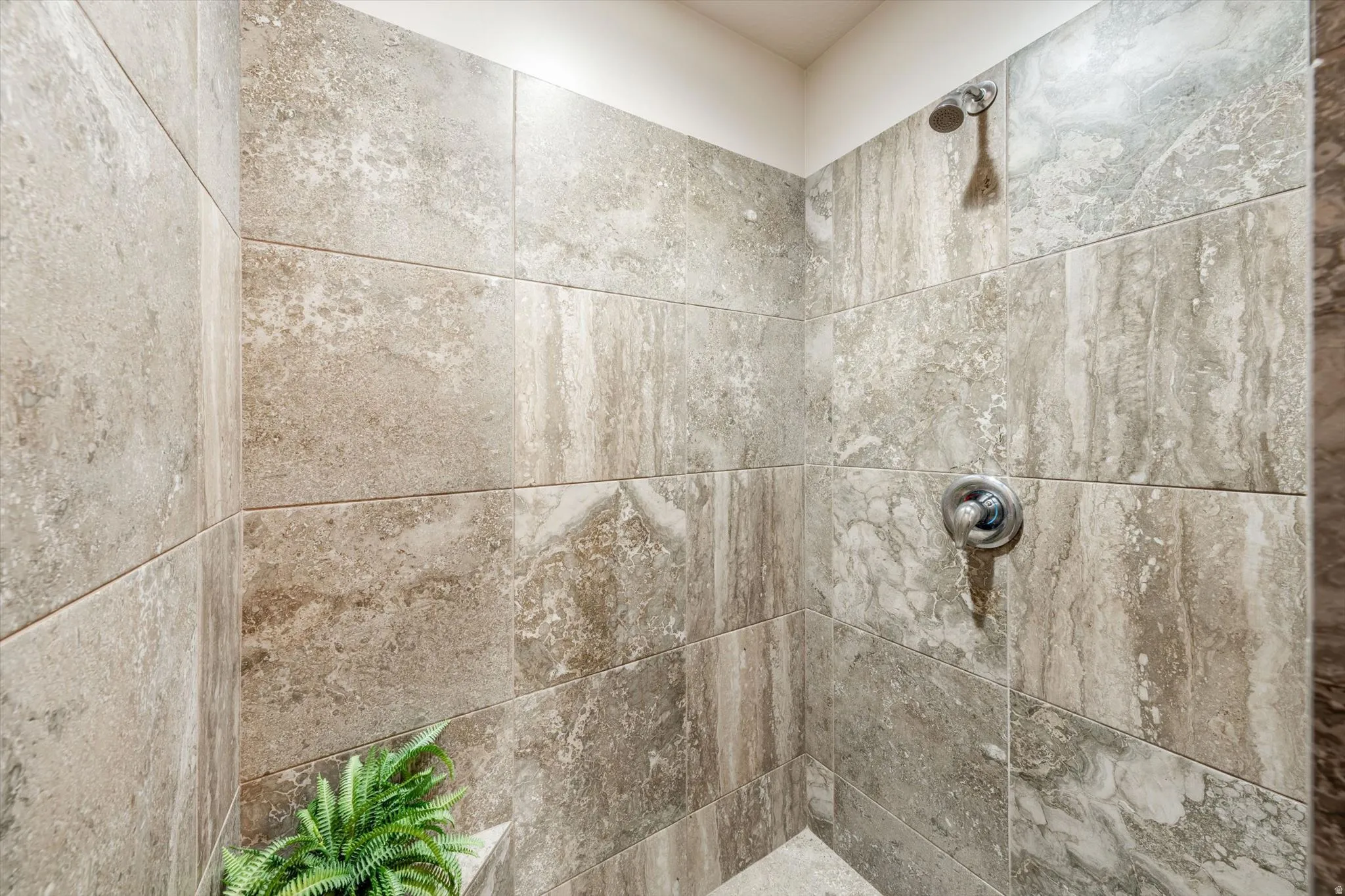 Bathroom view of a tile shower