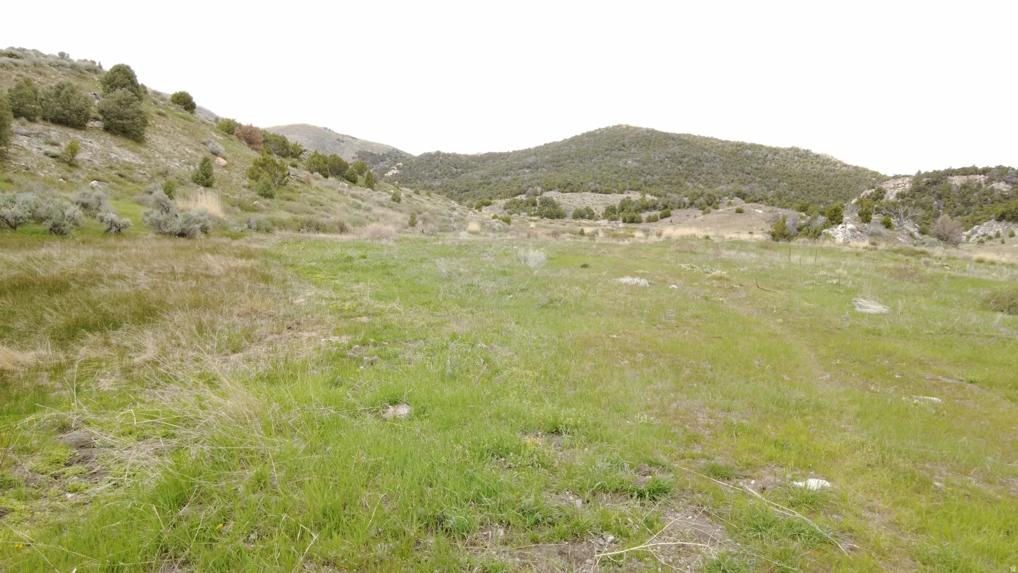 Mountain view with rural landscape