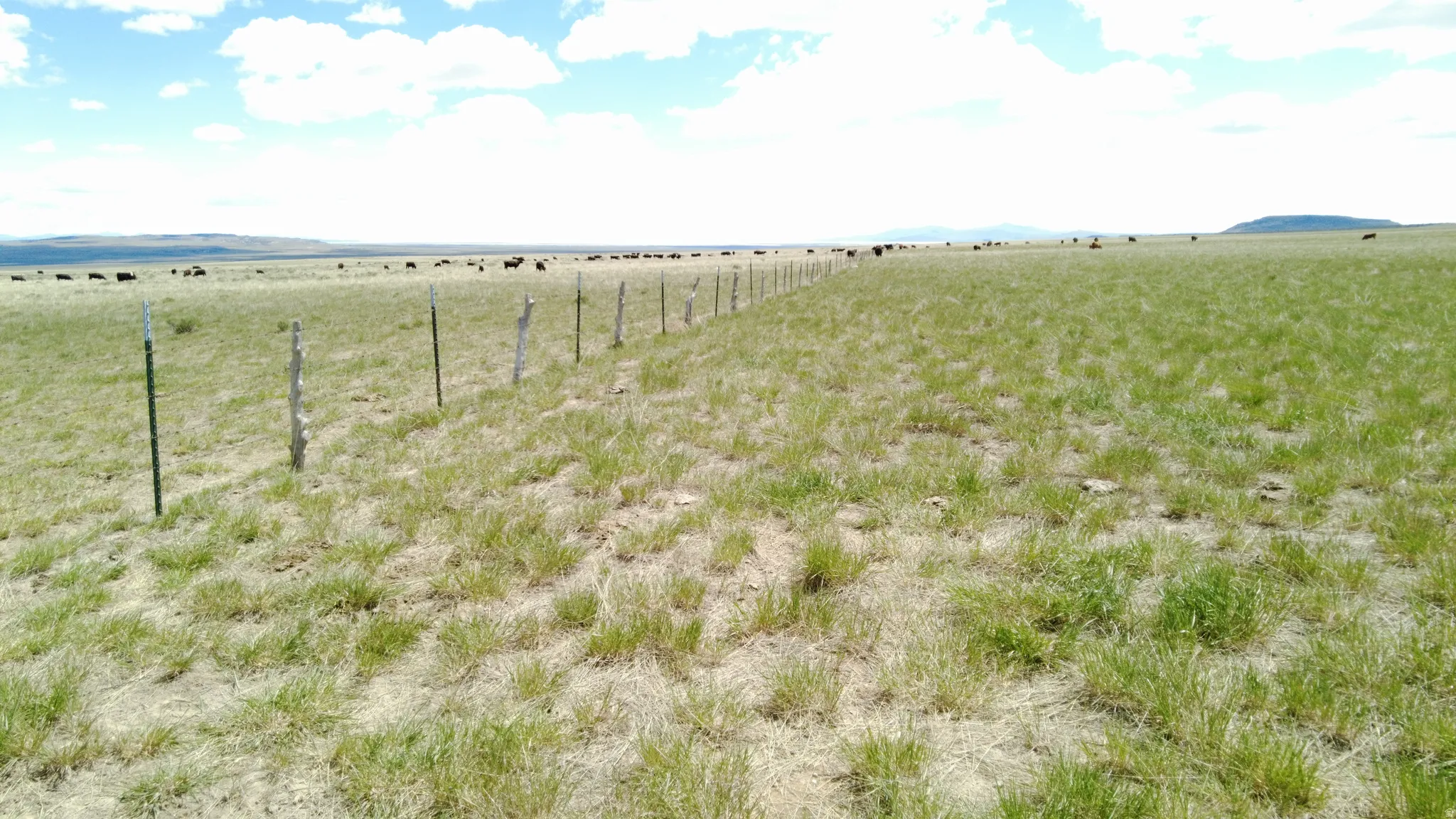 Water view with rural landscape and a mountainous background