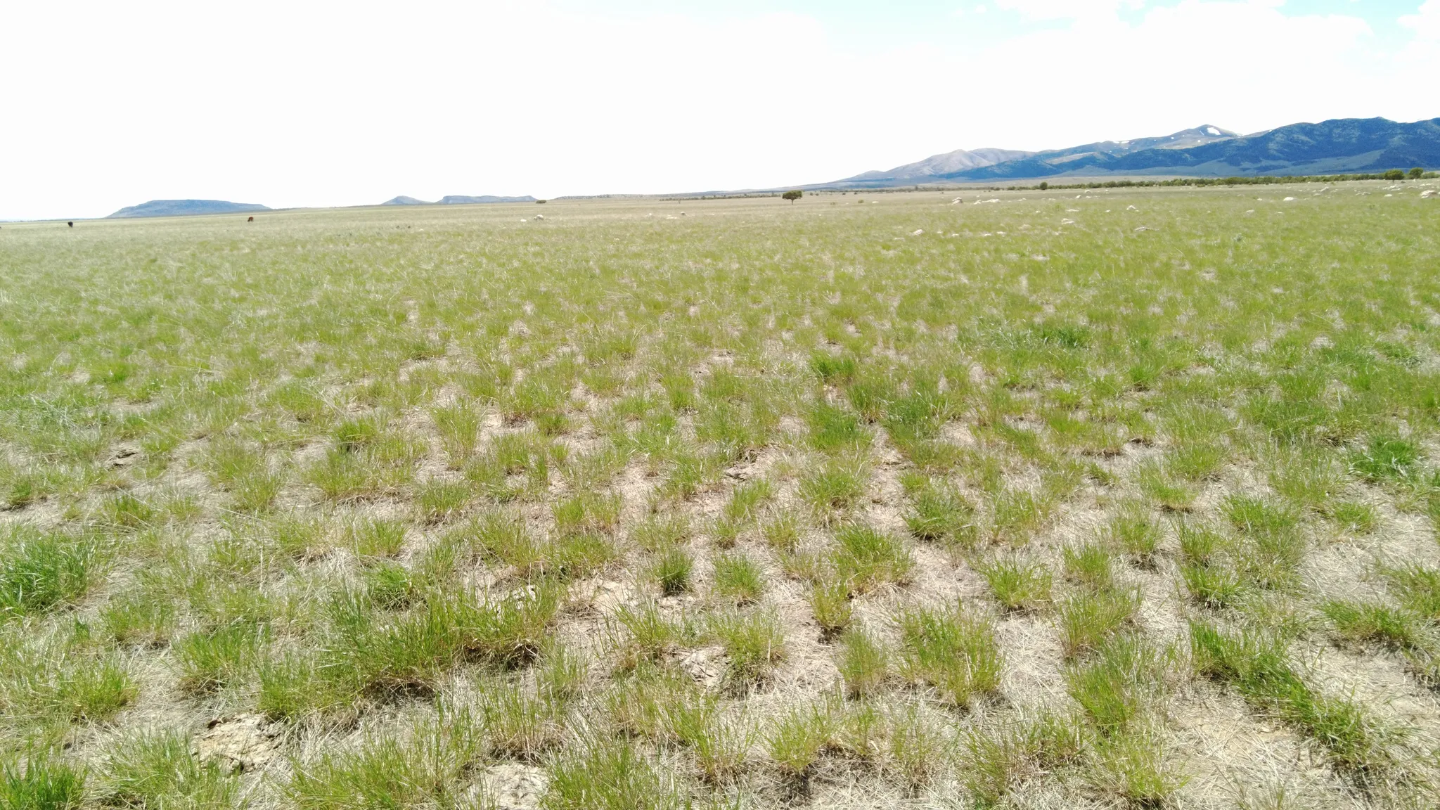 View of mountain background with rural landscape