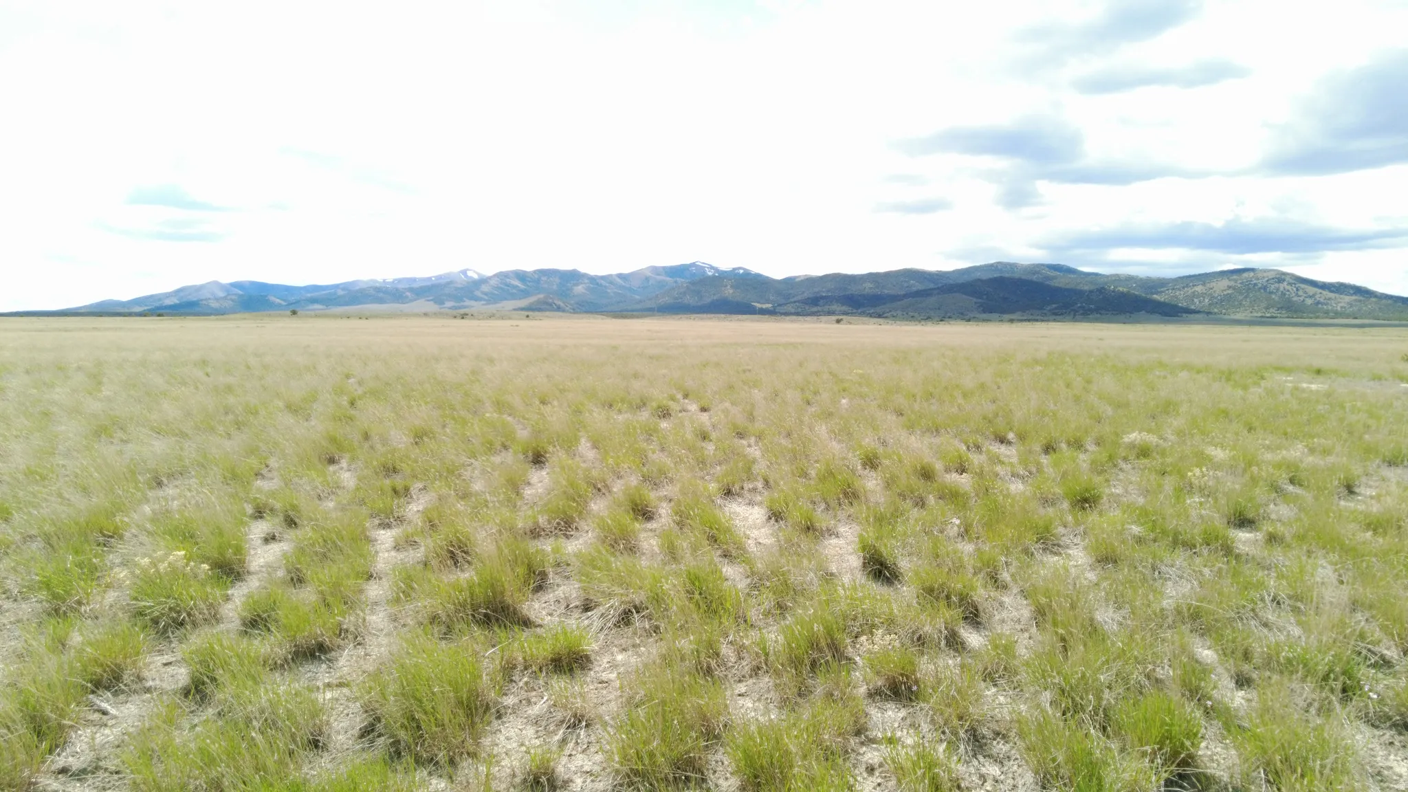 View of mountain background with rural landscape