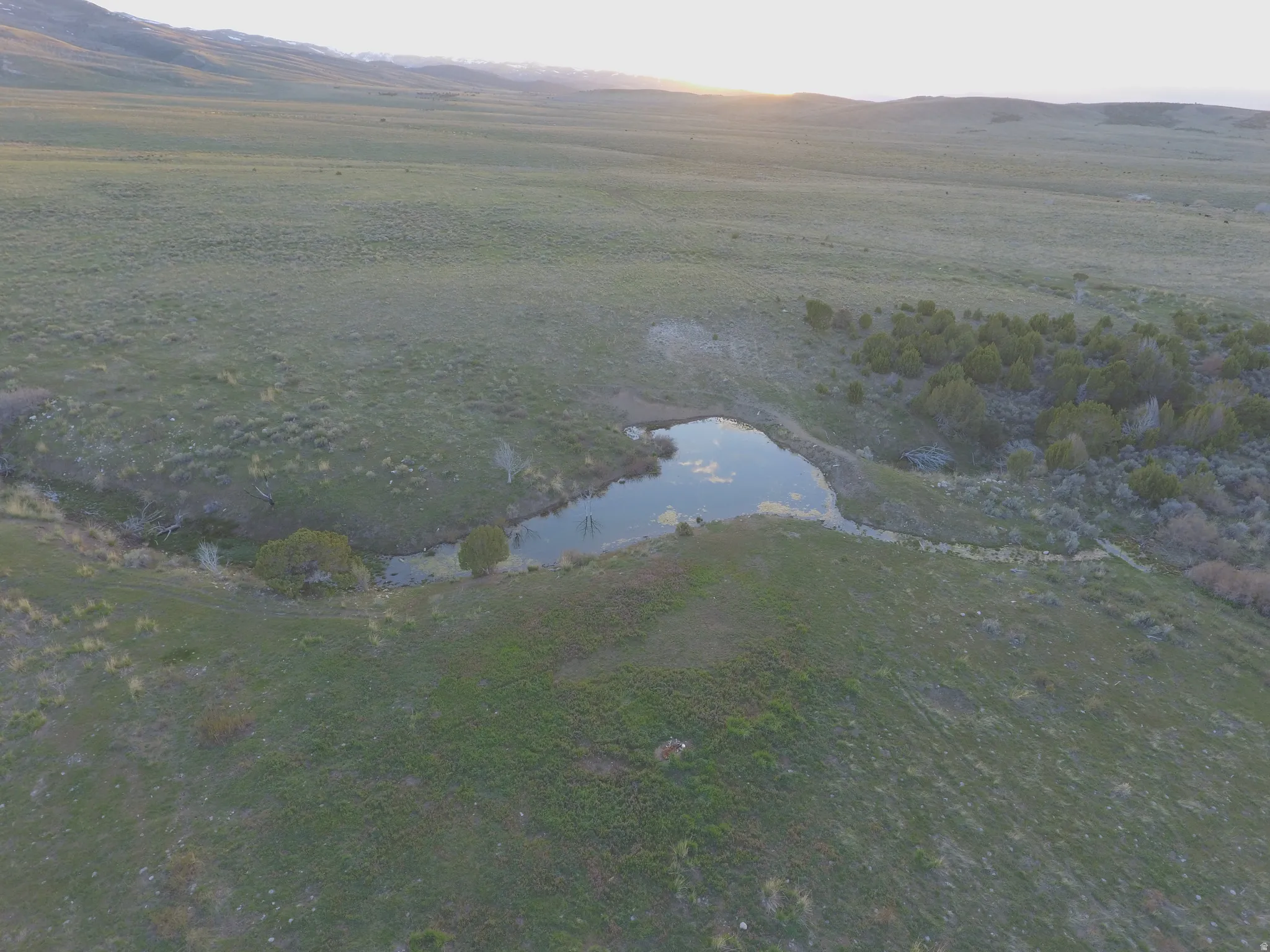 Aerial view of sparsely populated area with a water and mountain view