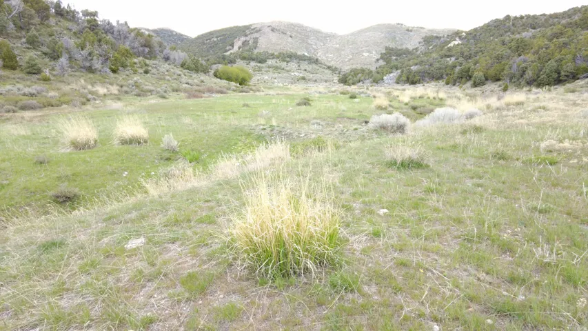 View of mountain backdrop with rural landscape