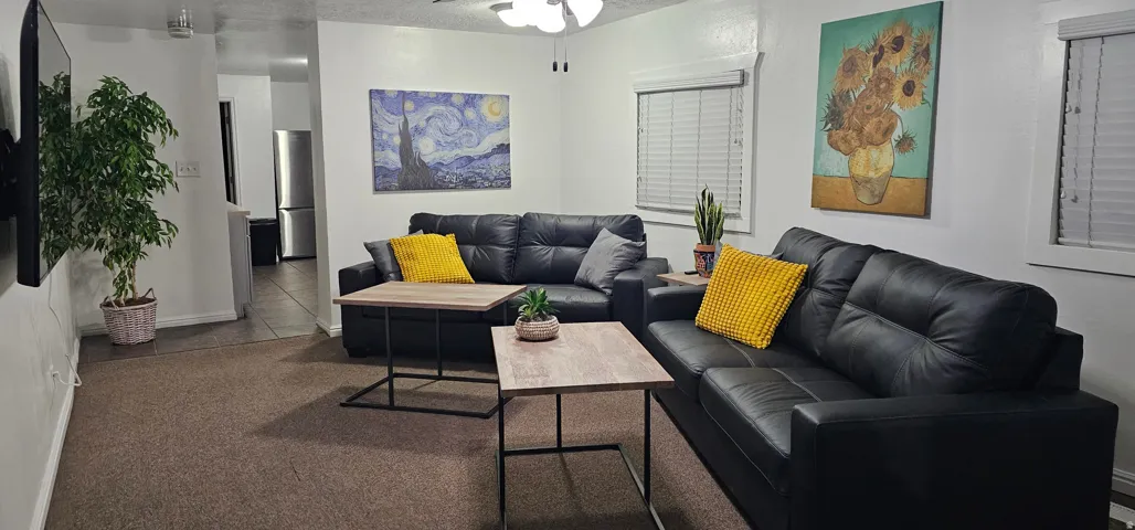 Living area with ceiling fan, carpet, and a textured ceiling