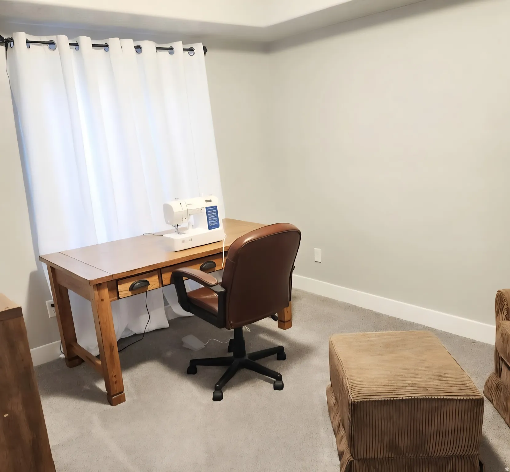 Carpeted room featuring light gray walls and white trim
