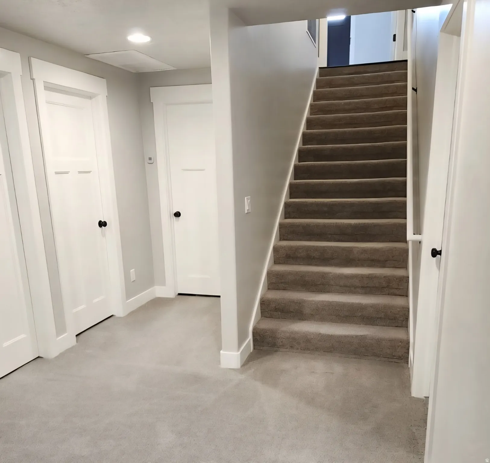 Carpeted staircase with white trim, leading to an upper level