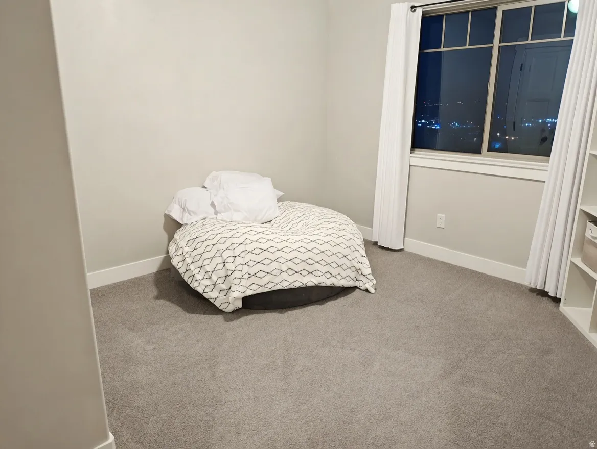 Carpeted room with a large window and built-in shelving
