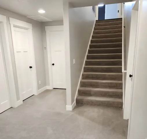 Carpeted staircase with white trim, leading to an upper level