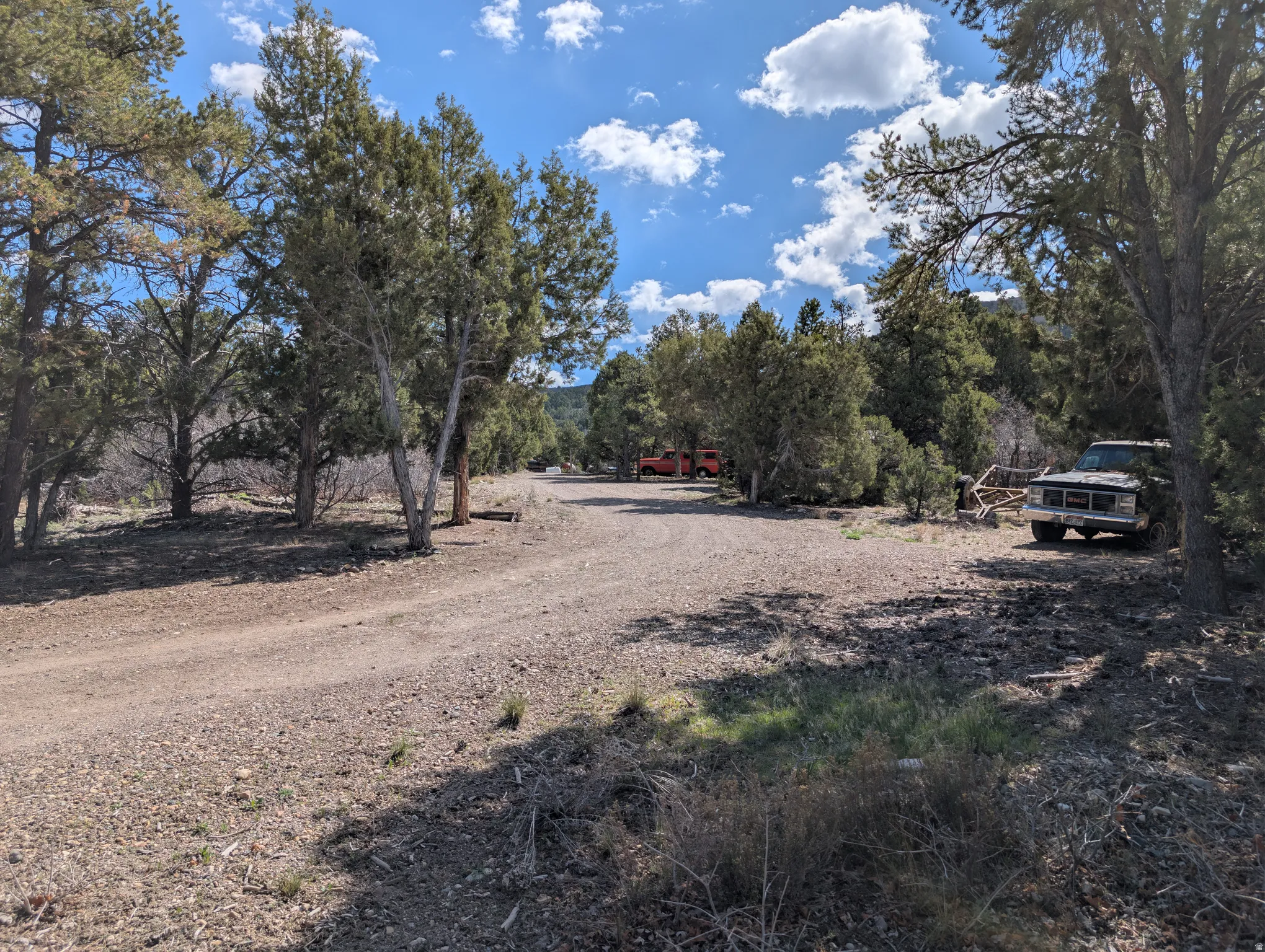 View of street with view of wooded area
