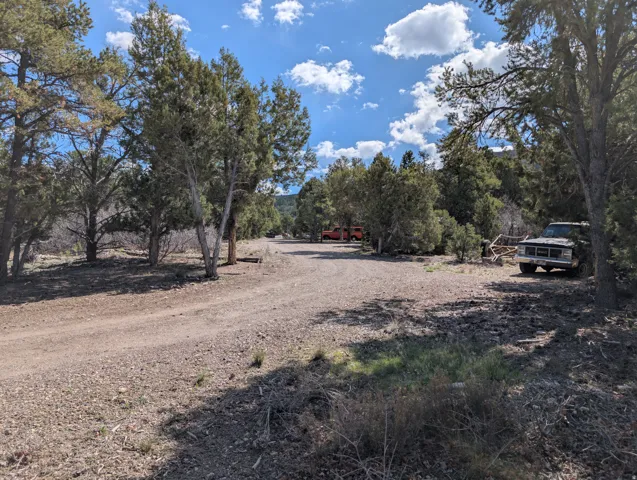 View of street with view of wooded area