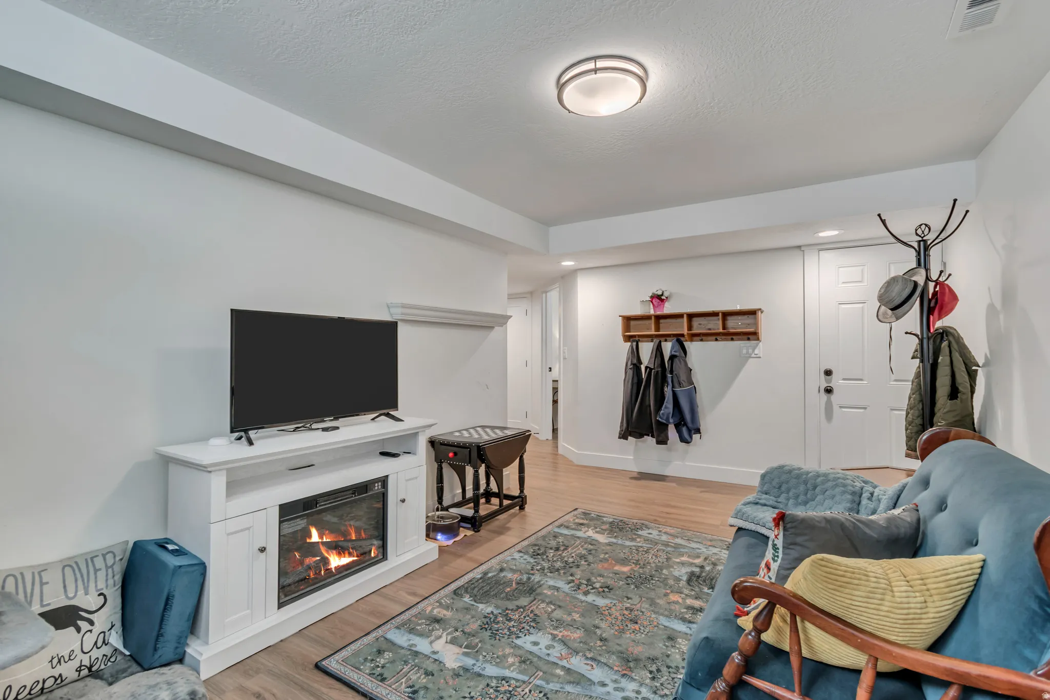 Basement Apartment Living Room