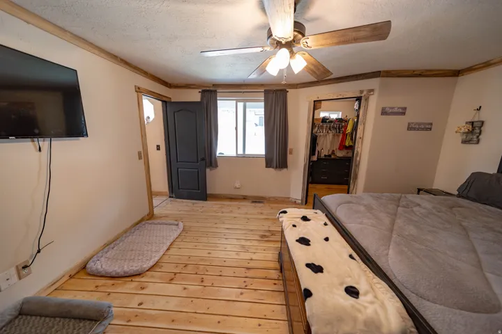 Bedroom featuring a walk in closet, light wood-type flooring, a ceiling fan, a textured ceiling, and crown molding