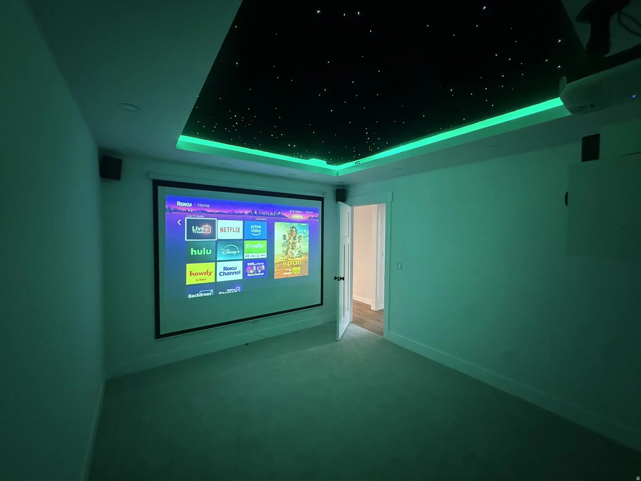 Home theater with carpet flooring and a tray ceiling