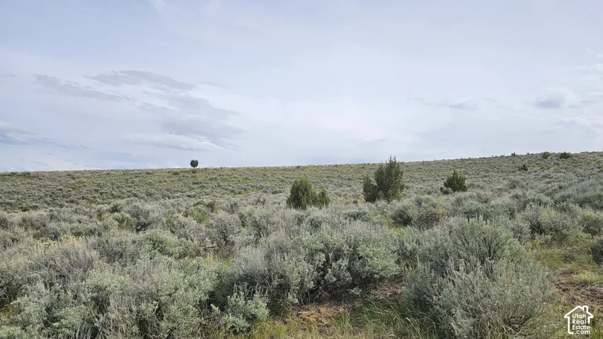 View of nature featuring rural landscape