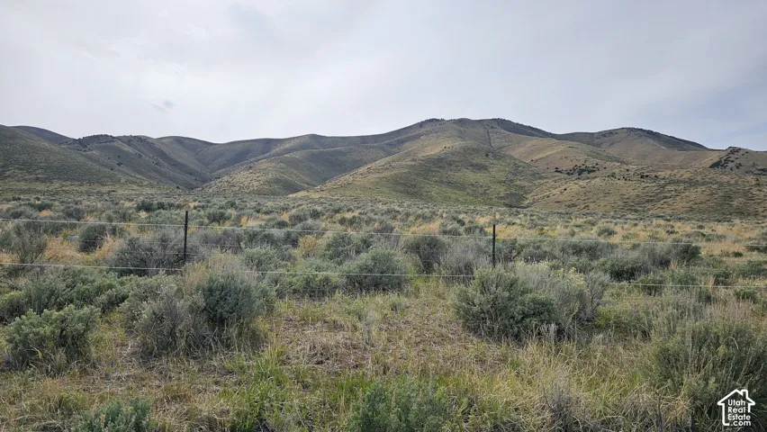 View of mountain background