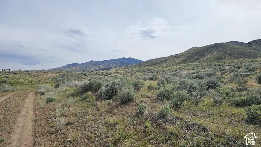 View of mountain background