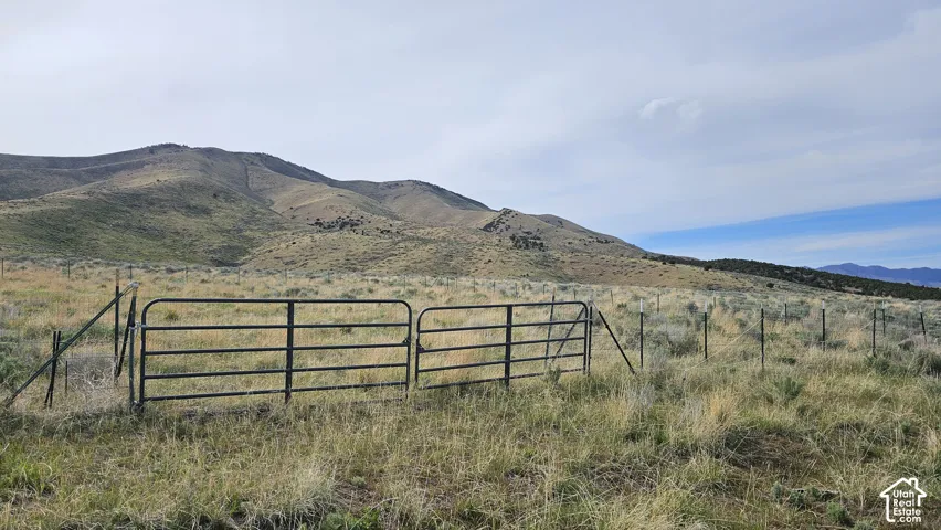 View of mountain background
