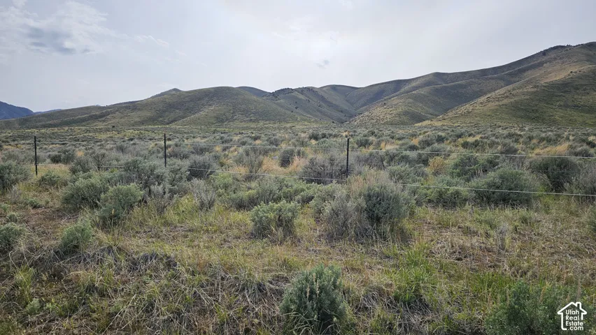 View of mountain background