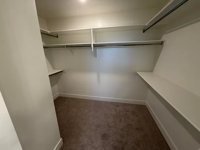 Walk-in closet featuring built-in shelving, multiple hanging rods, recessed ceiling lighting, and neutral carpeting
