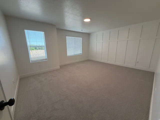 Spacious room featuring a decorative board and batten accent wall, two windows with horizontal blinds, neutral carpet flooring, and a flush-mount ceiling light fixture