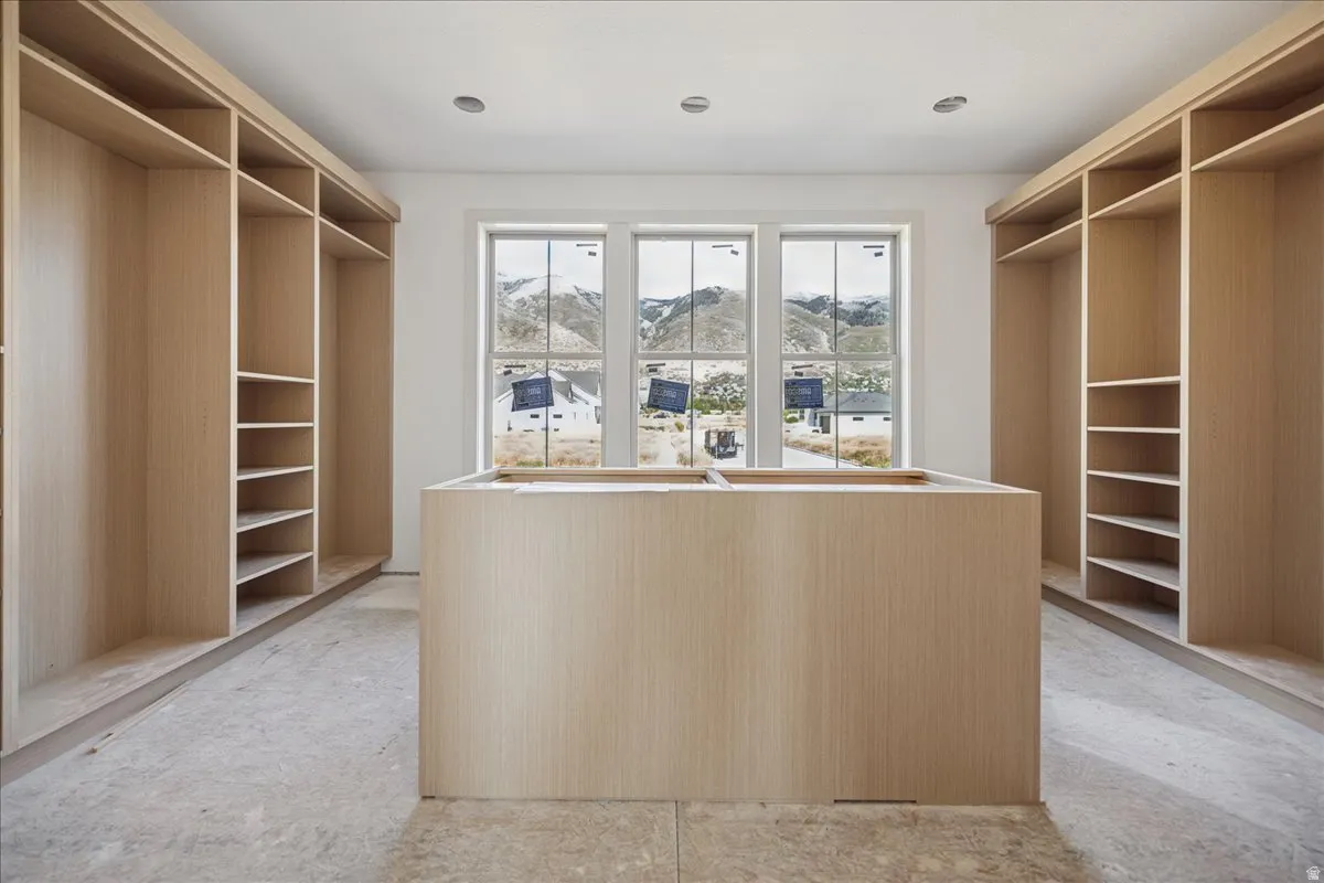 Primary Closet