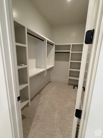 Walk-in closet featuring built-in white shelving, integrated hanging rods, and light-toned carpet flooring
