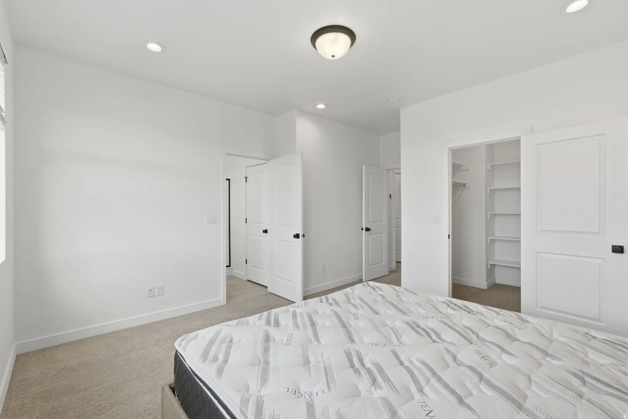 Bedroom with a walk in closet, light carpet, and recessed lighting