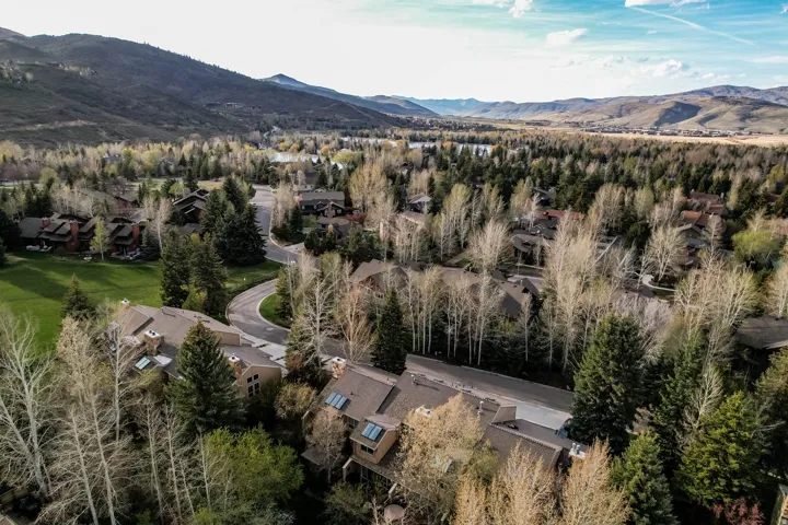 Aerial perspective of suburban area featuring a mountain backdrop