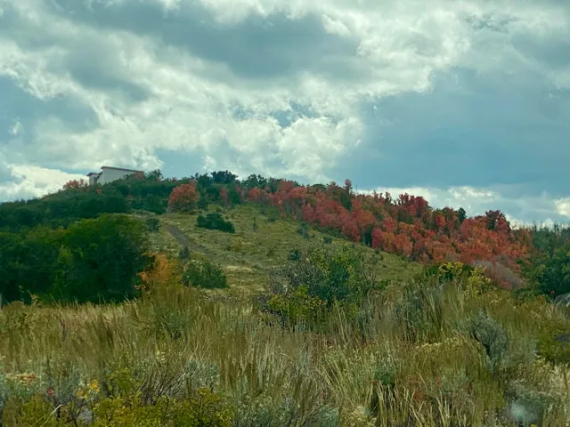 View of mountain backdrop featuring a forest