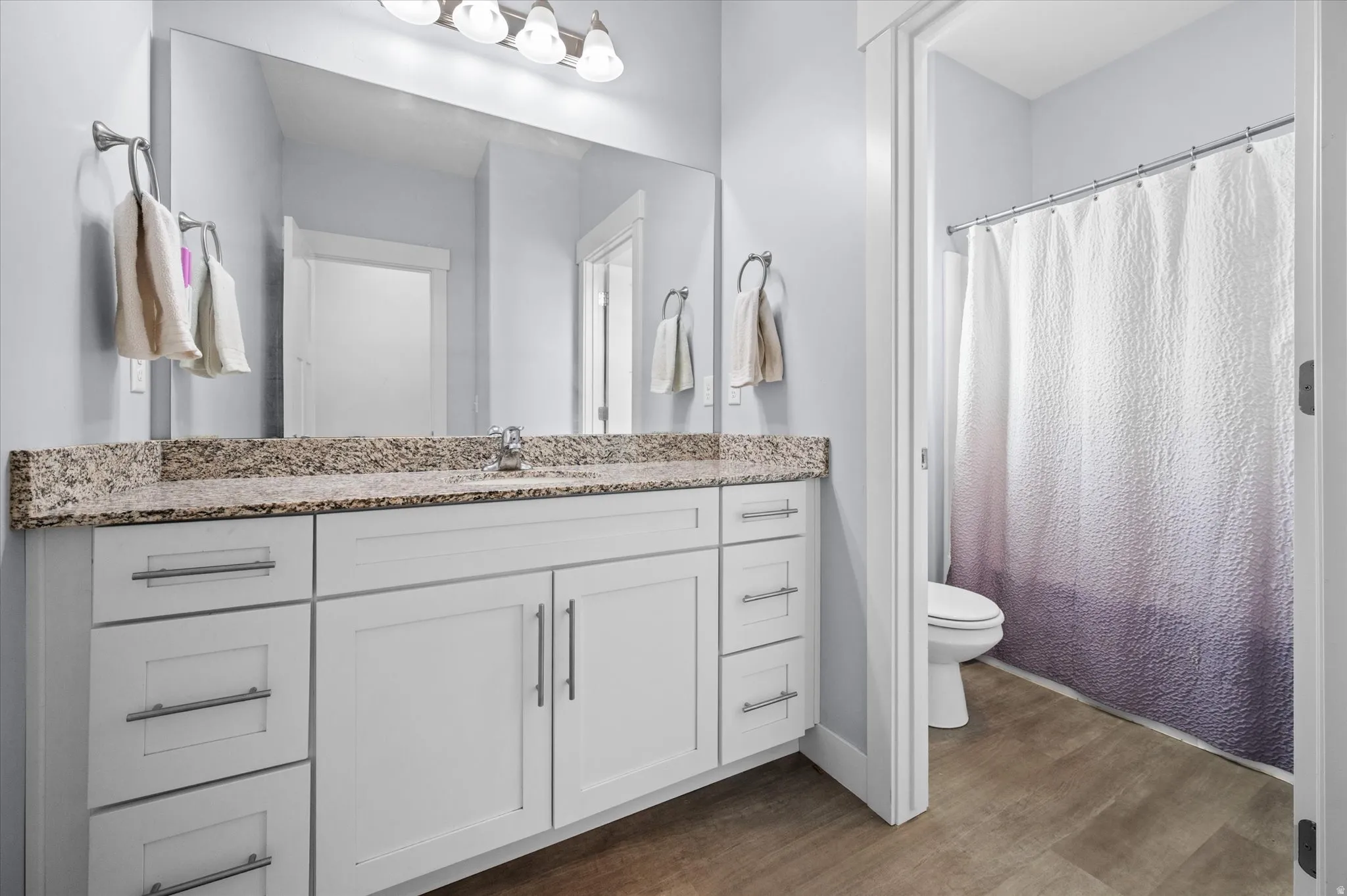 Full bath featuring vanity, a shower with shower curtain, and dark wood-type flooring
