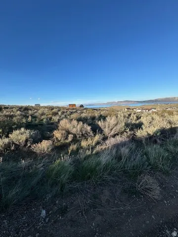 View of undeveloped land
