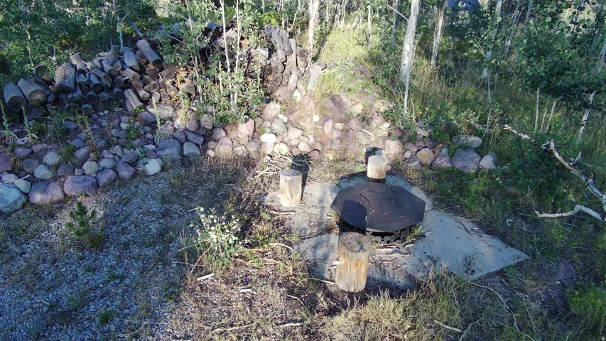 Outdoor fire pit area with two log seats, surrounded by natural ground cover and a stacked stone border