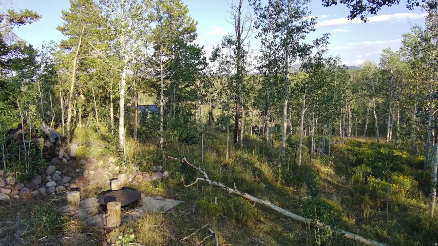 Outdoor fire pit area with stone retaining wall