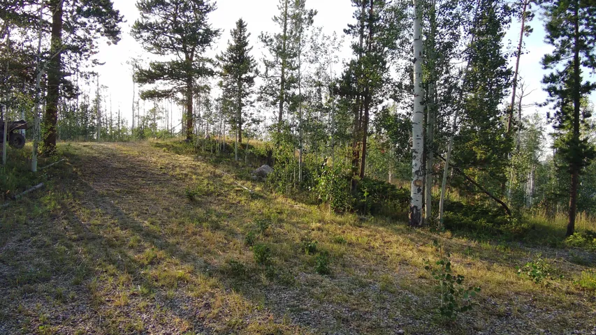 Sloping terrain with natural ground cover, surrounded by mature trees including aspens and pines