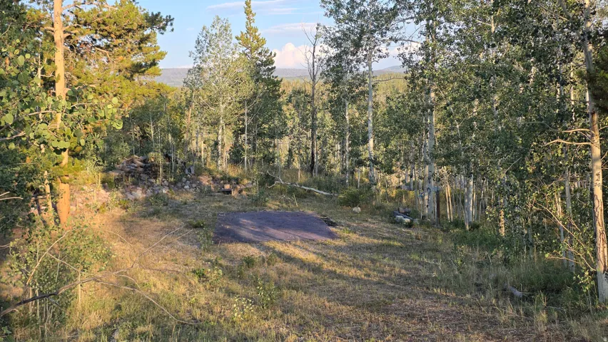 Wooded lot featuring mature pine and aspen trees, with a distant mountain backdrop