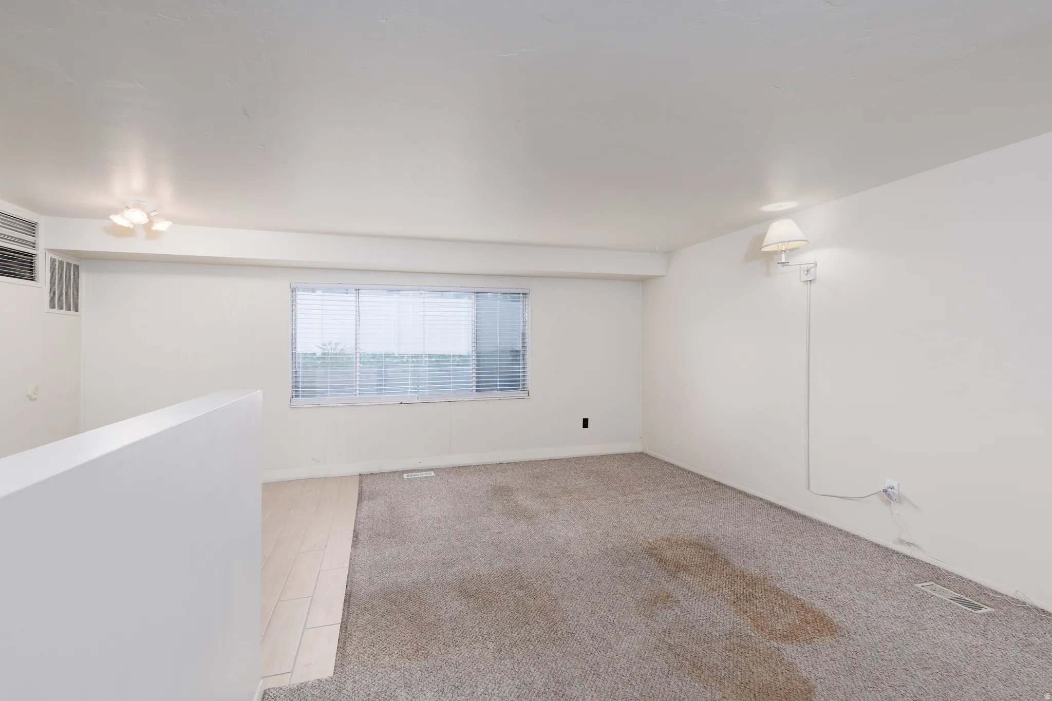 Unfurnished room with light carpet