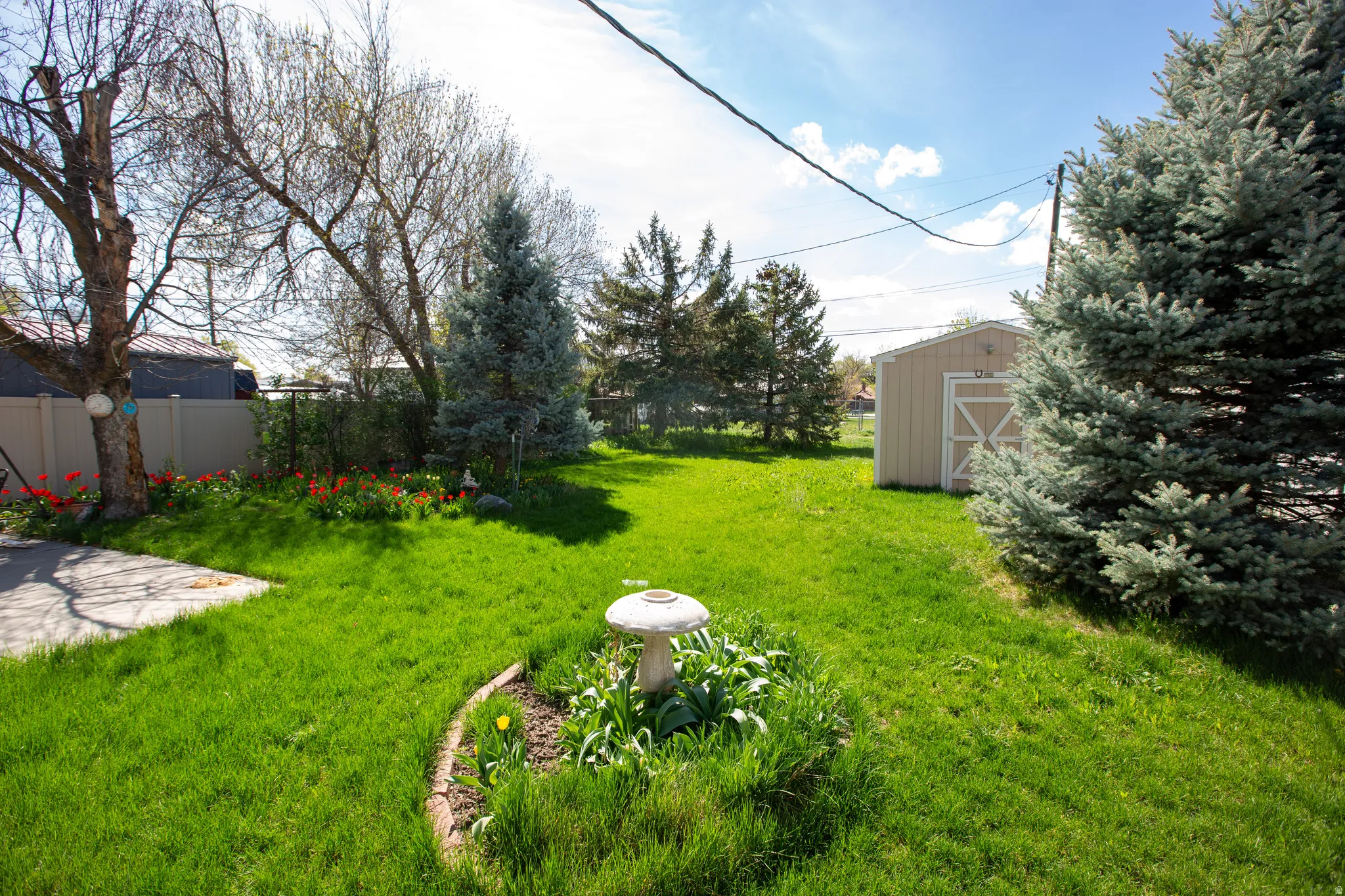 View of yard with a storage unit